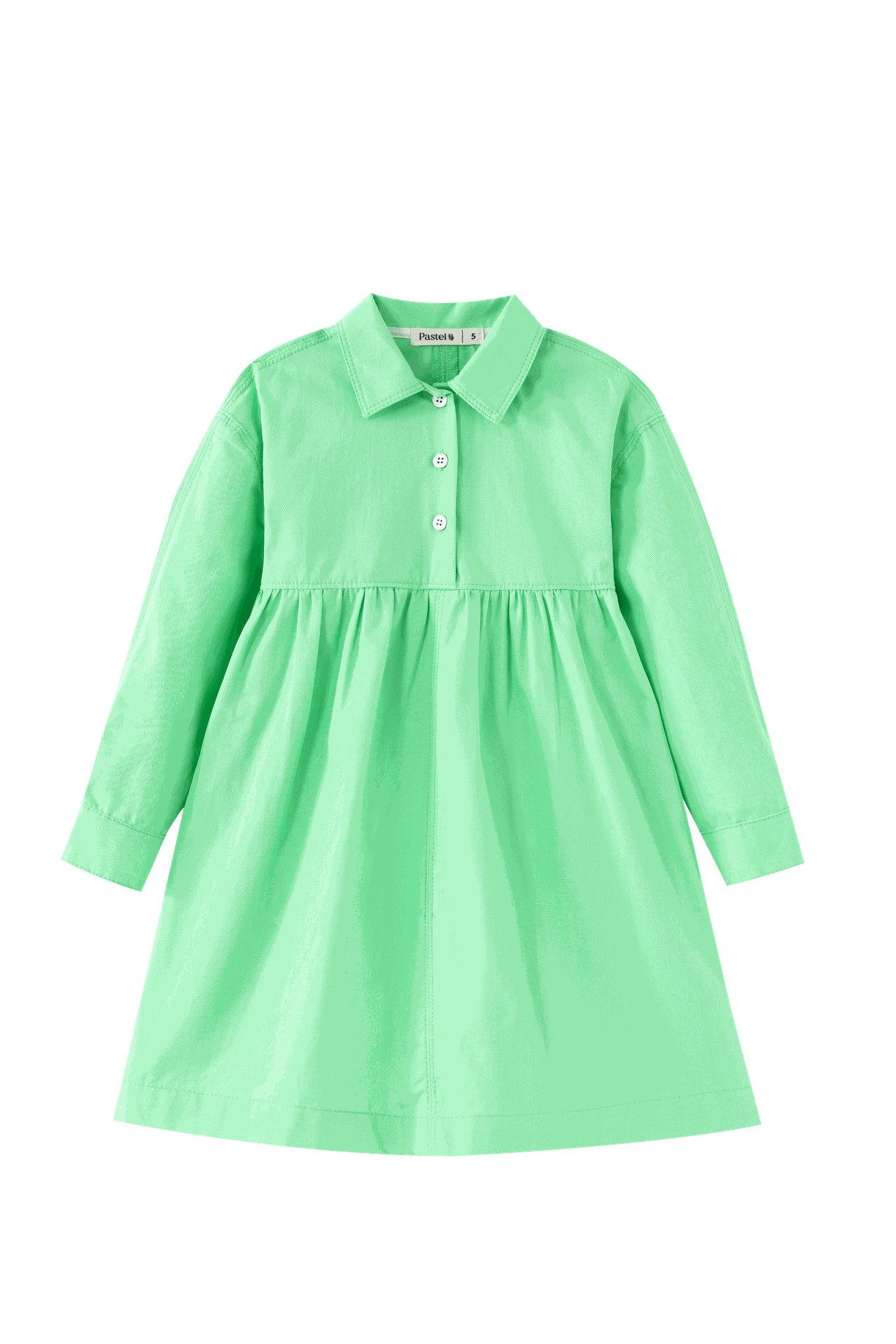 Waisted Shirtdress