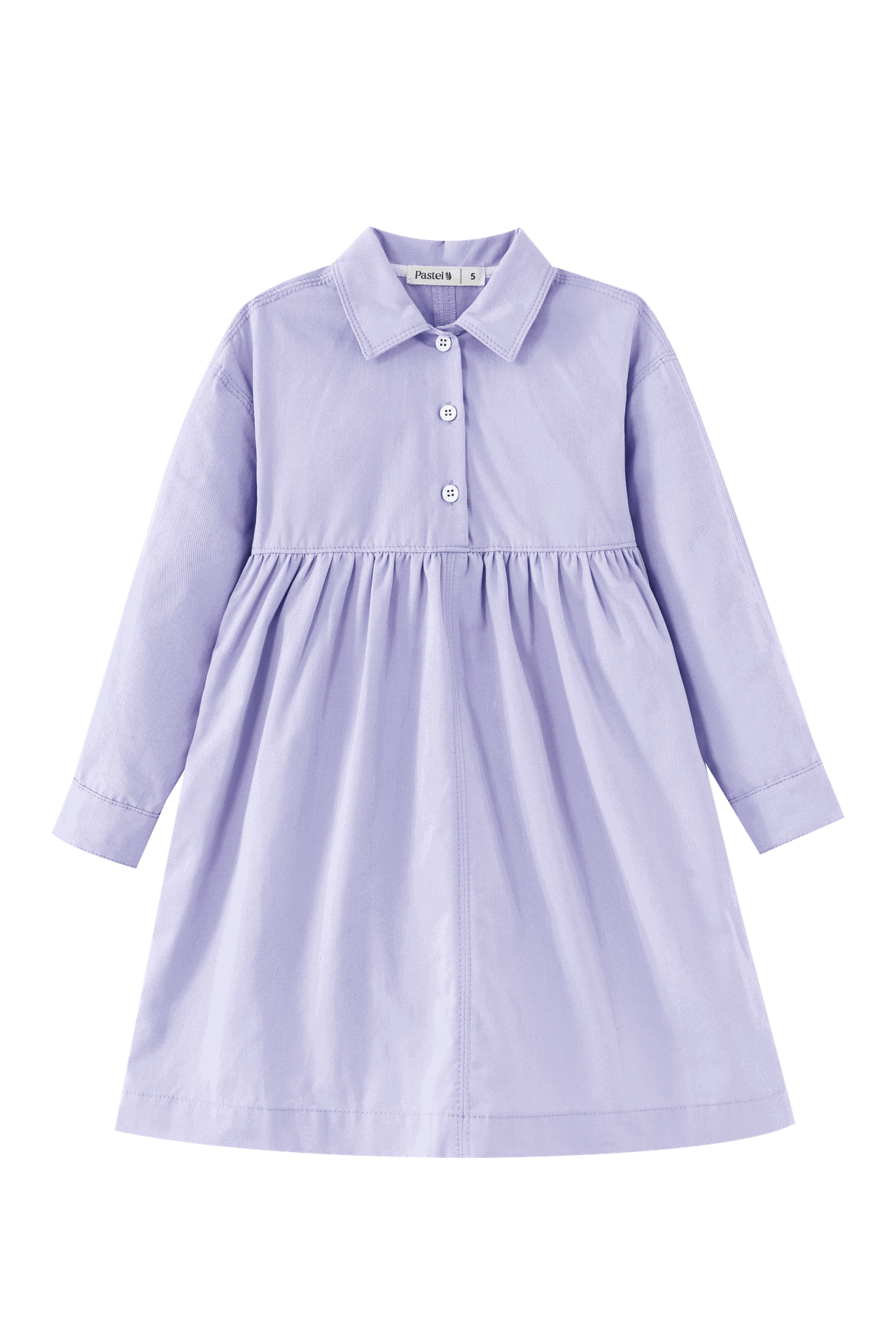Waisted Shirtdress