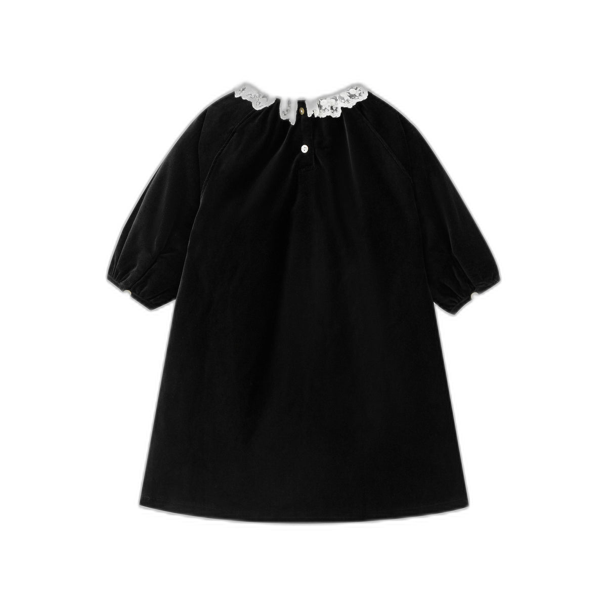 Lace Collar Velvet Dress