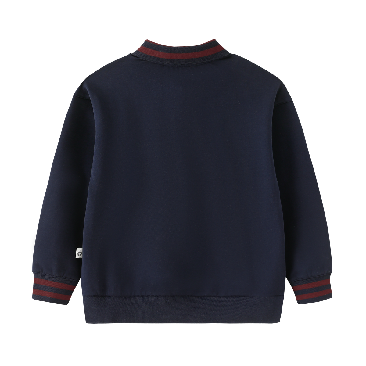 Striped Collar Polo