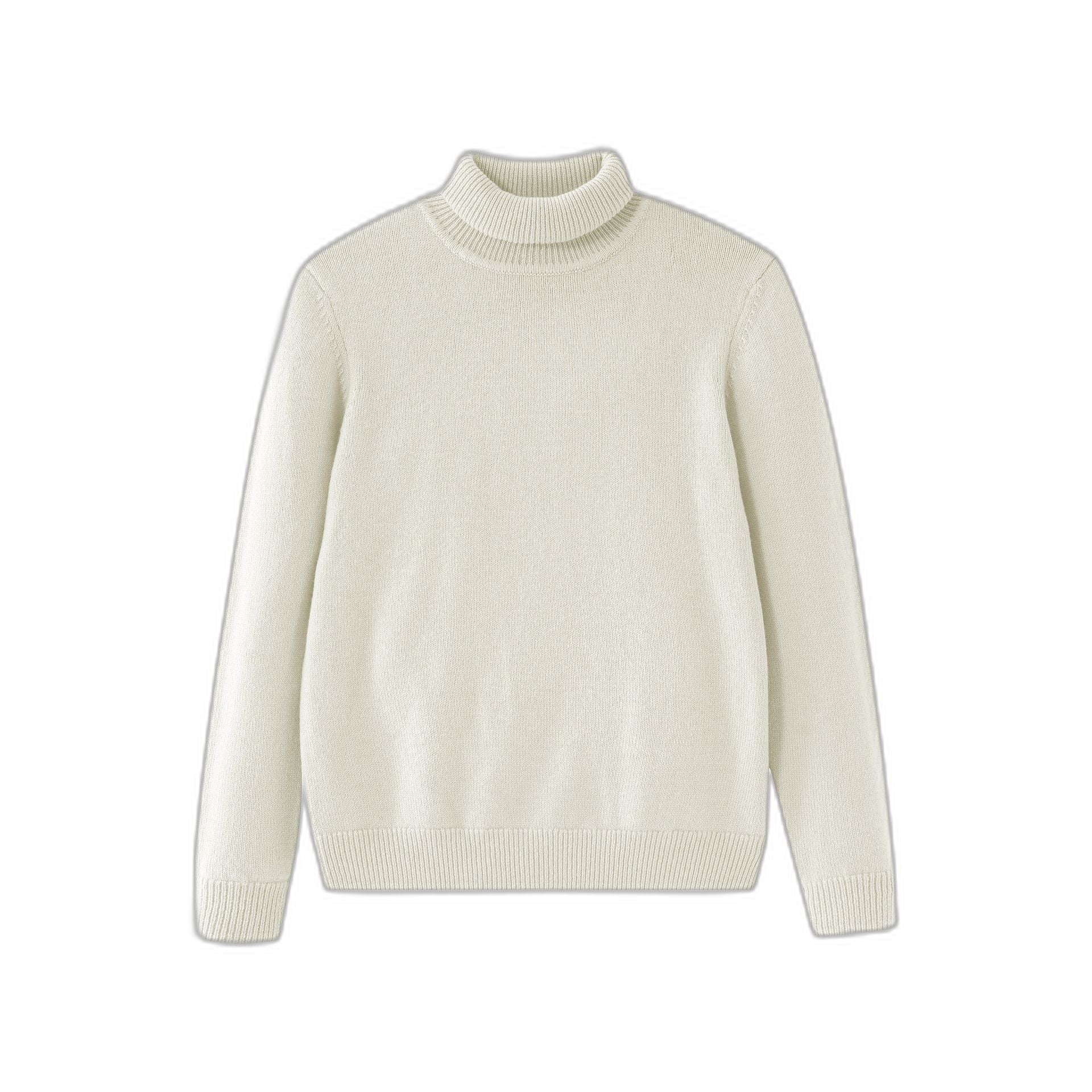Turtleneck Sweater