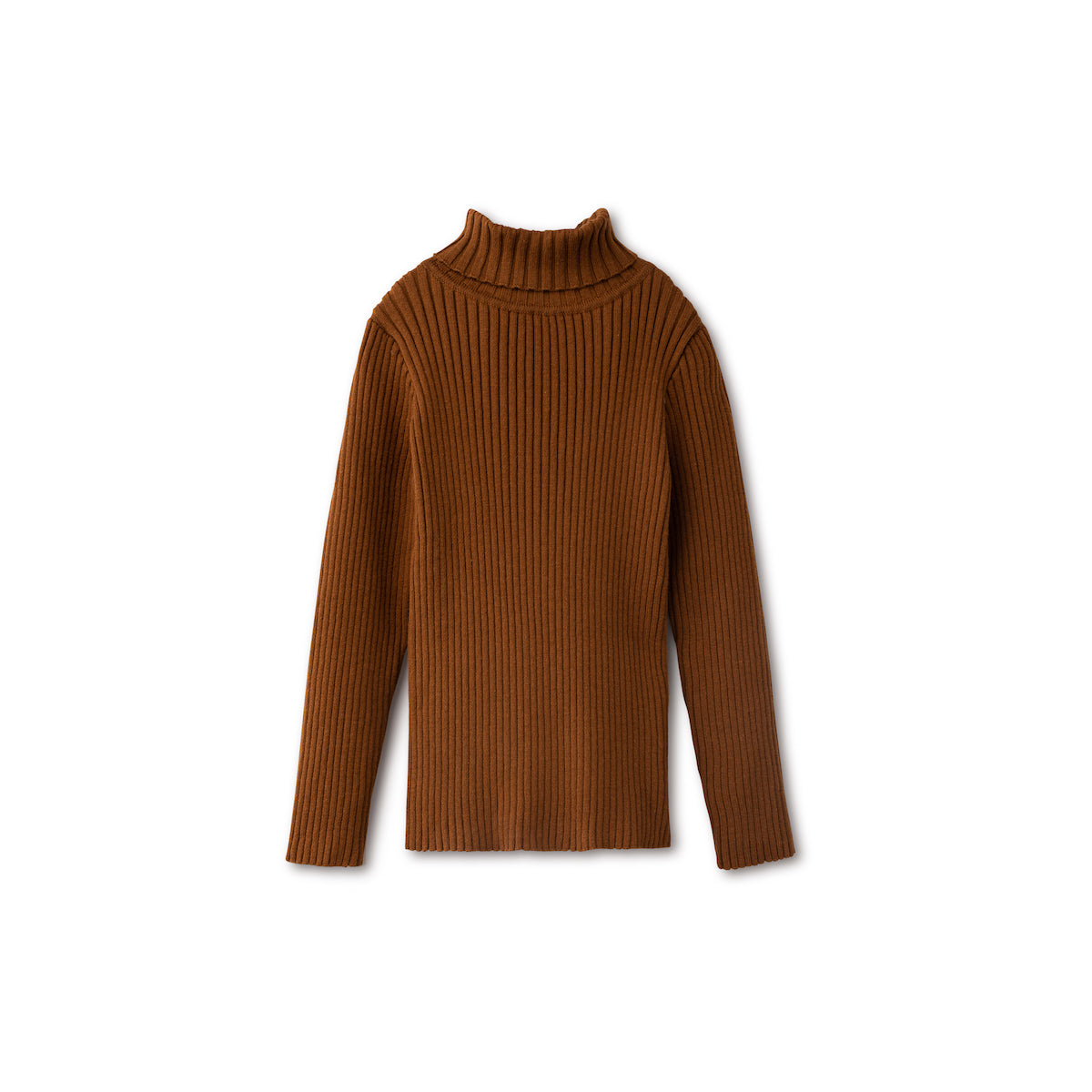 Basic Ribbed Knit Turtleneck Sweater