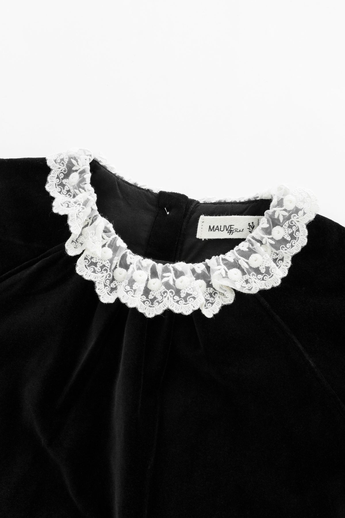 Lace Collar Velvet Dress