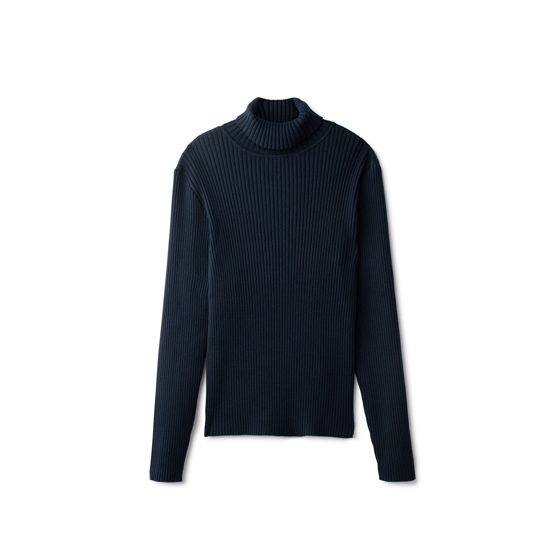 Basic Ribbed Knit Turtleneck Sweater