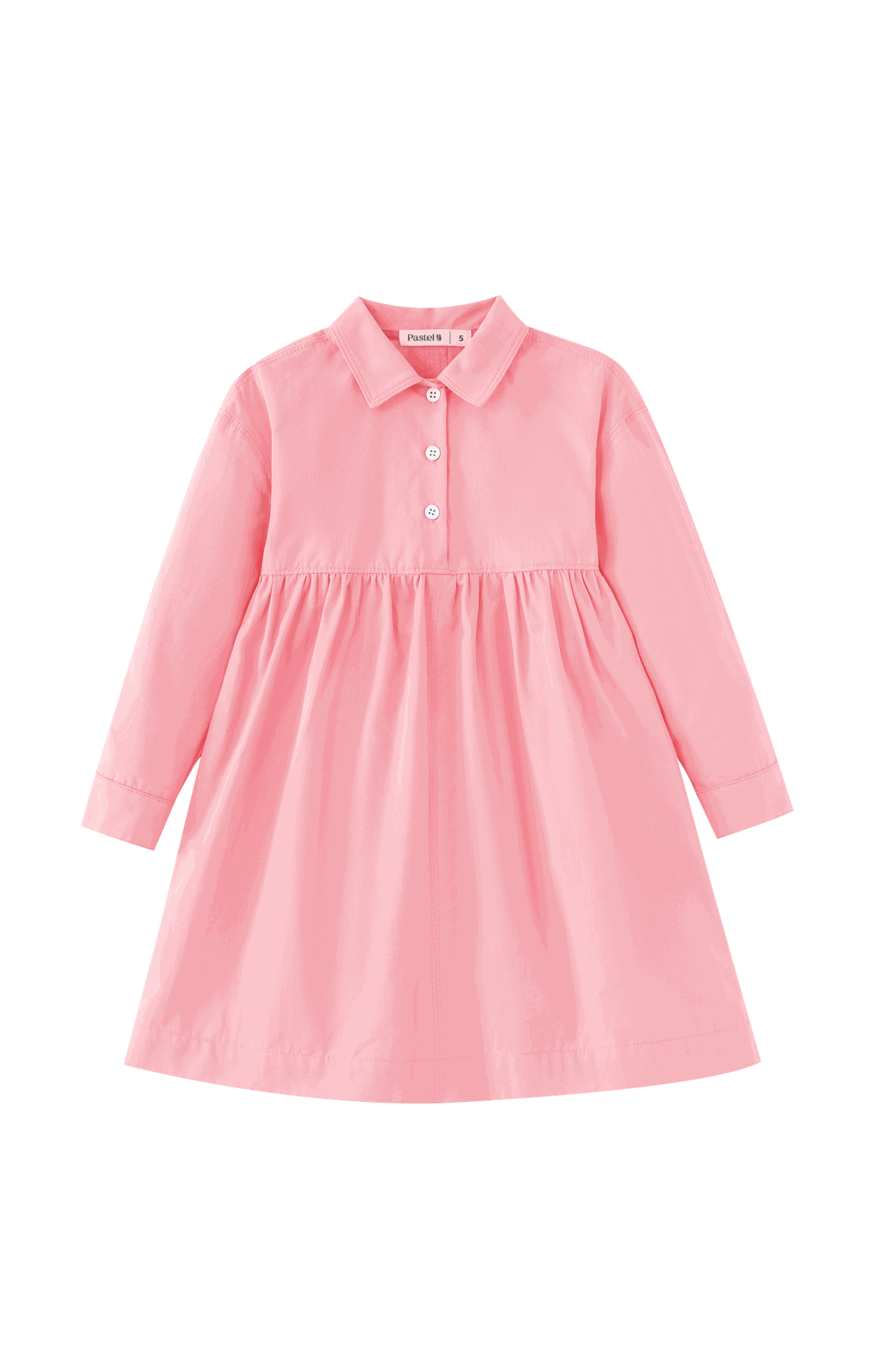 Waisted Shirtdress