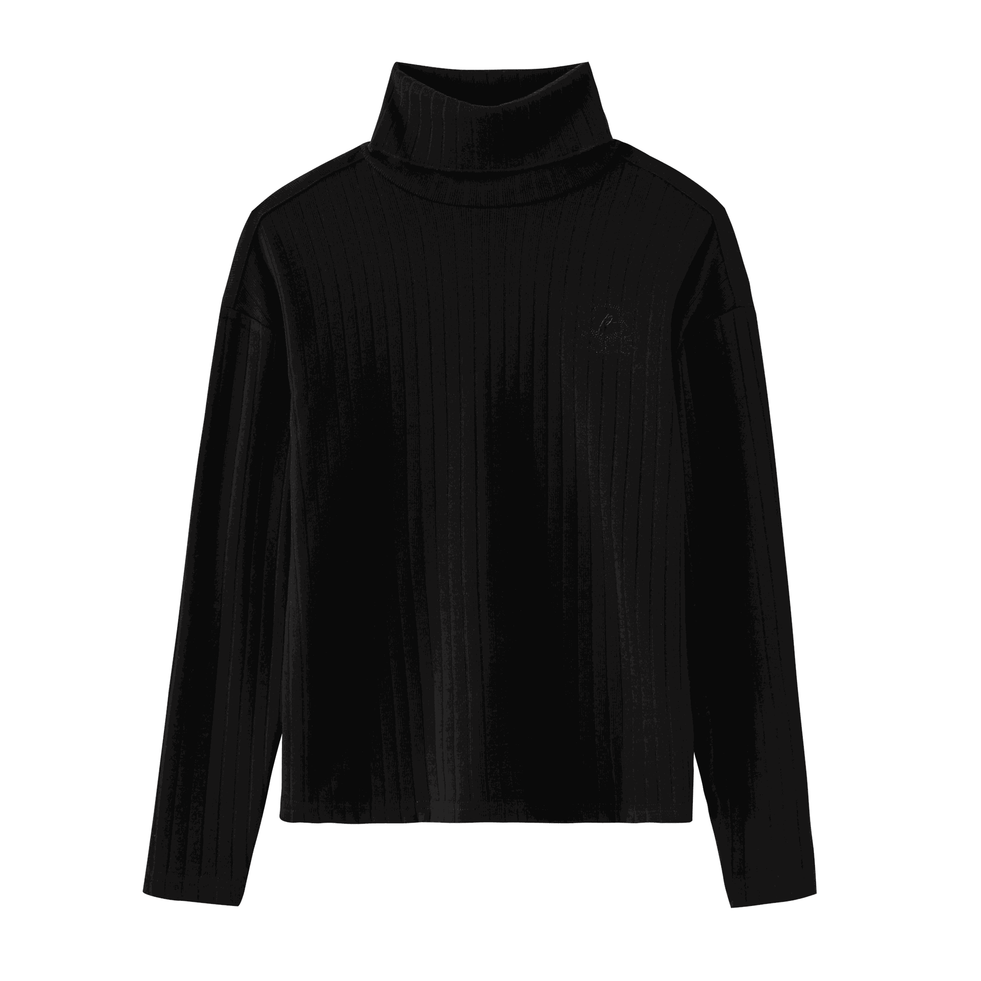 Teens Ribbed Turtleneck