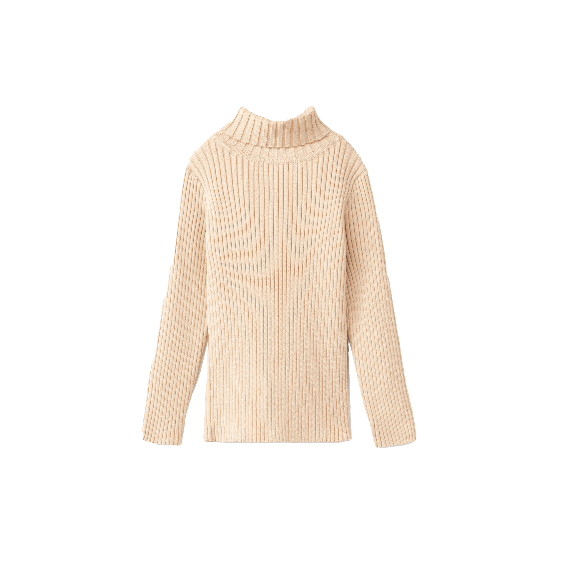Basic Ribbed Knit Turtleneck Sweater