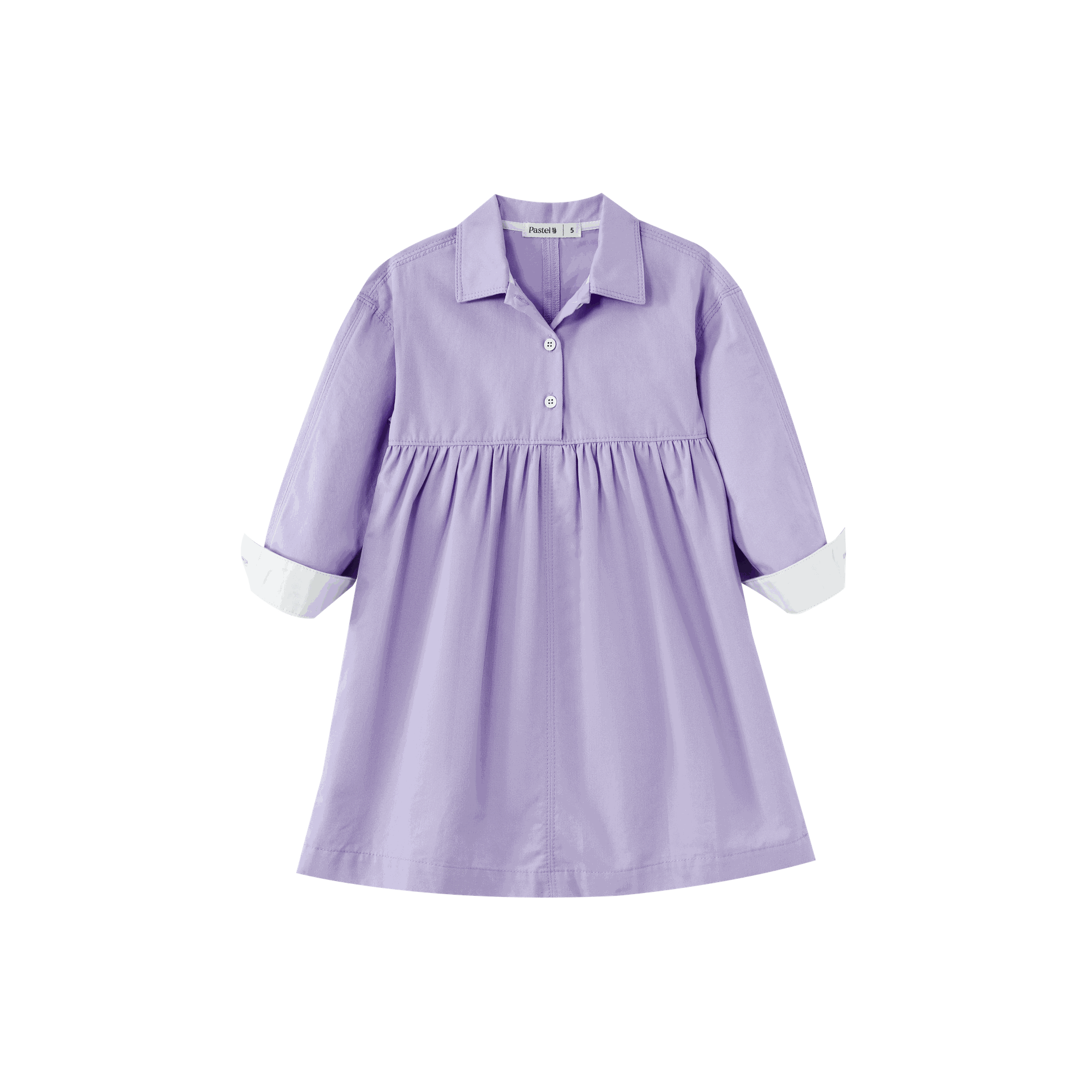 Waisted Shirtdress