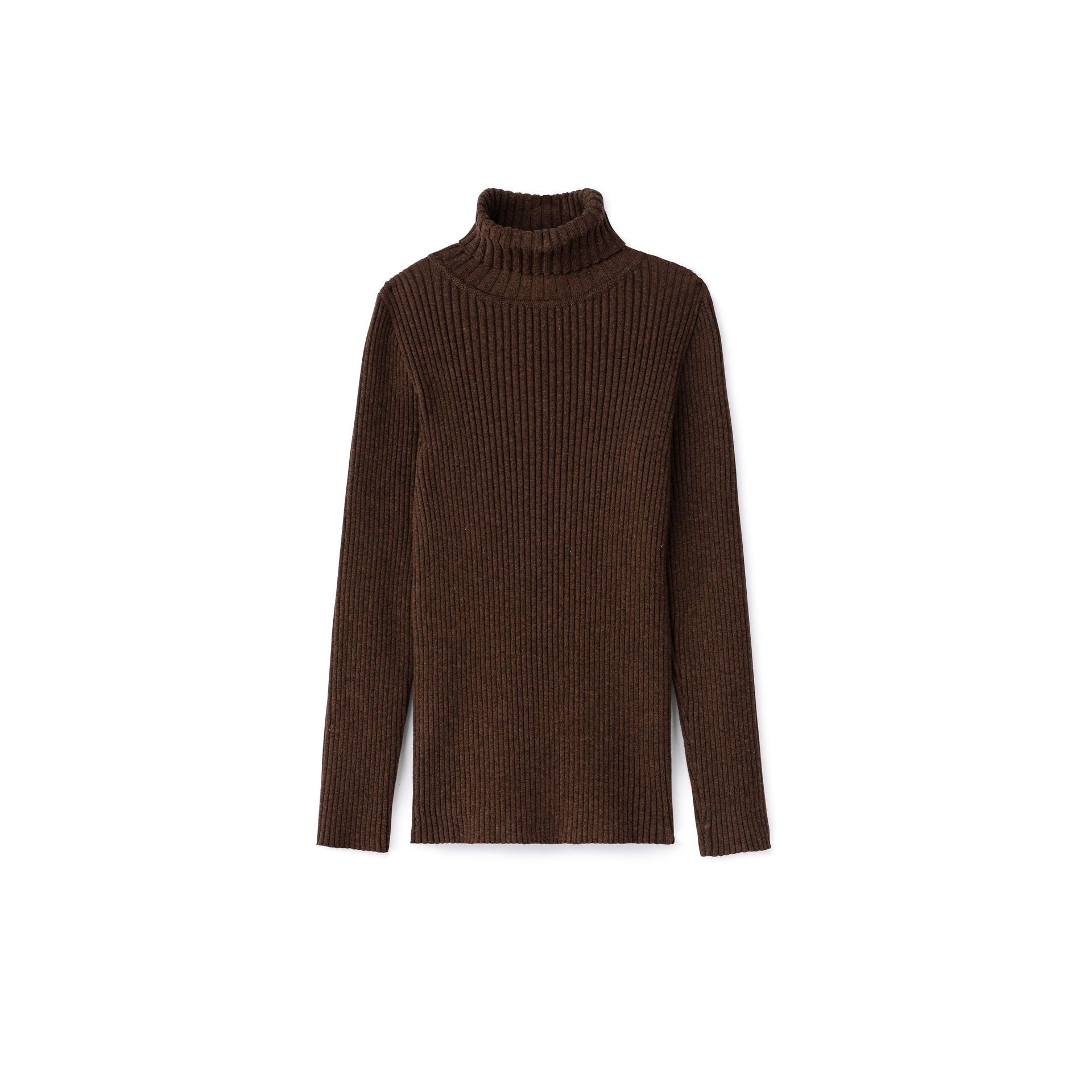 Basic Ribbed Knit Turtleneck Sweater
