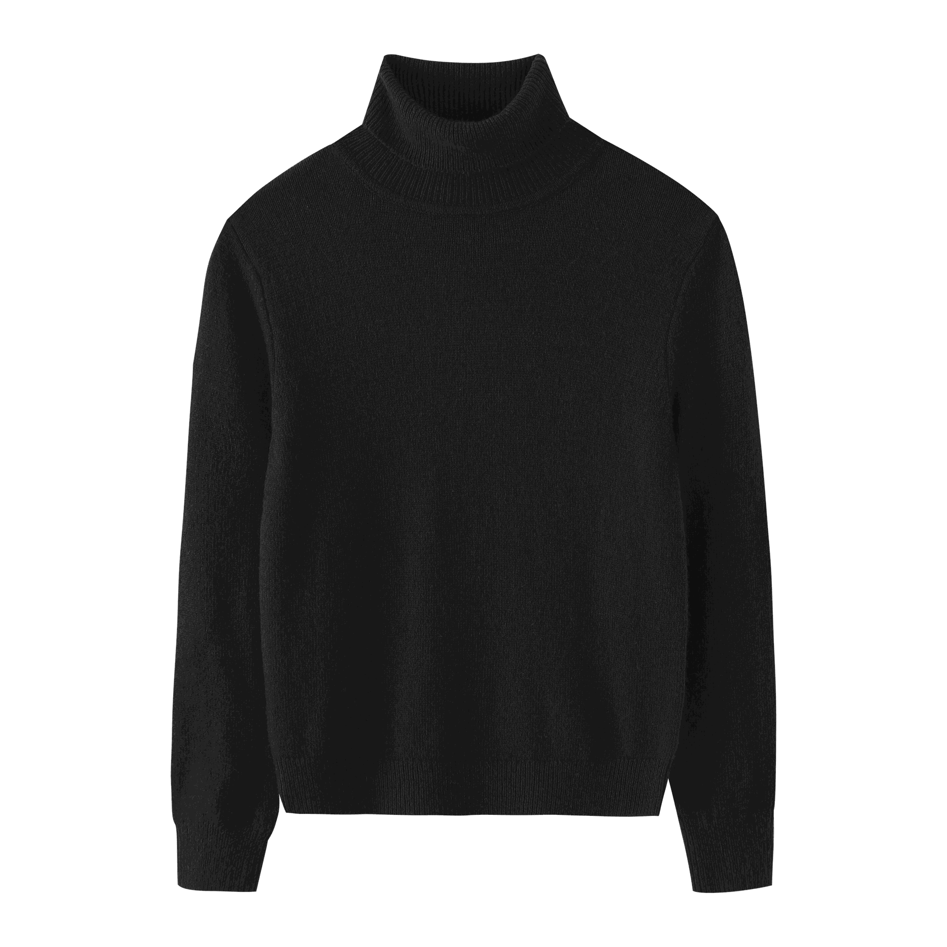 Wool Turtleneck