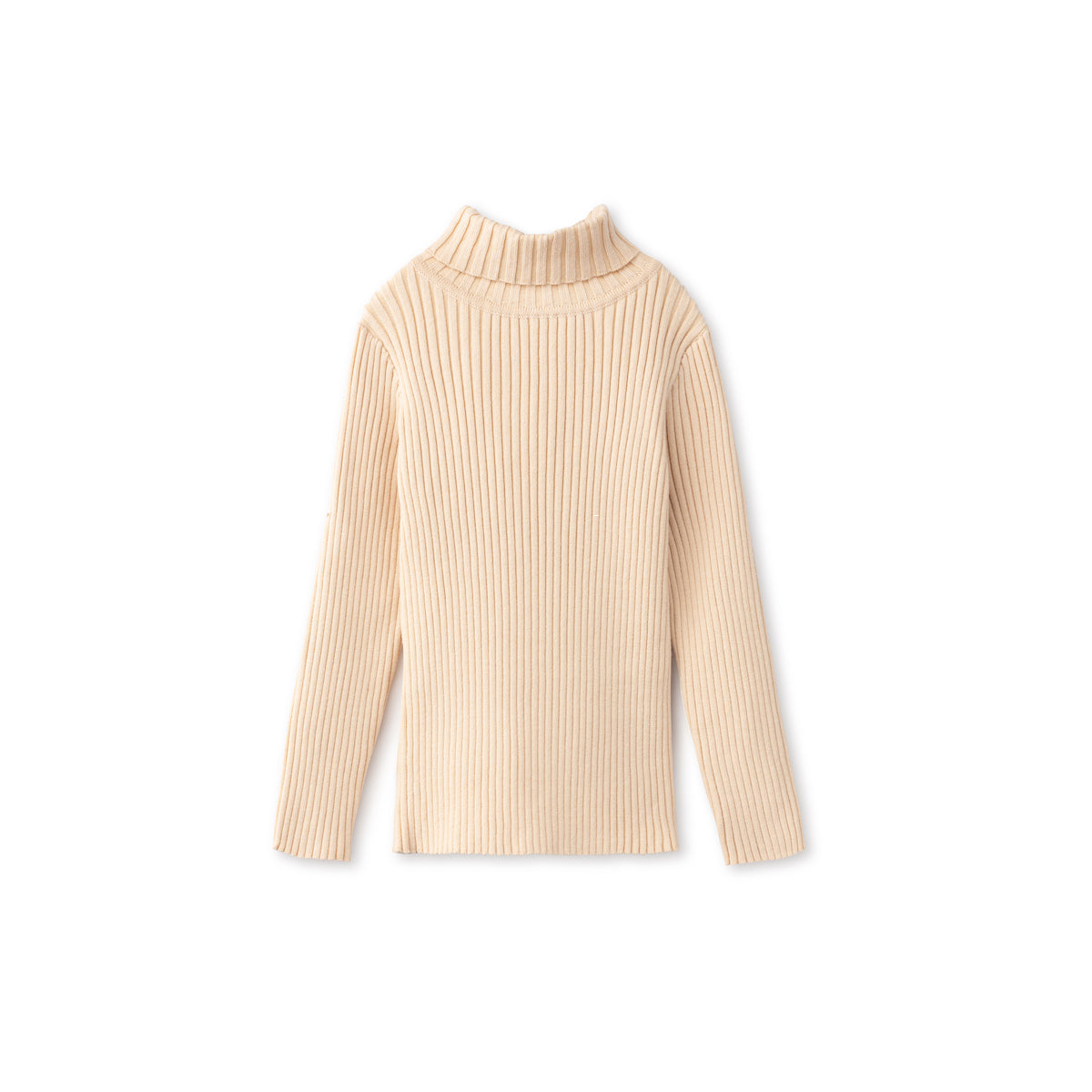 Basic Ribbed Knit Turtleneck Sweater