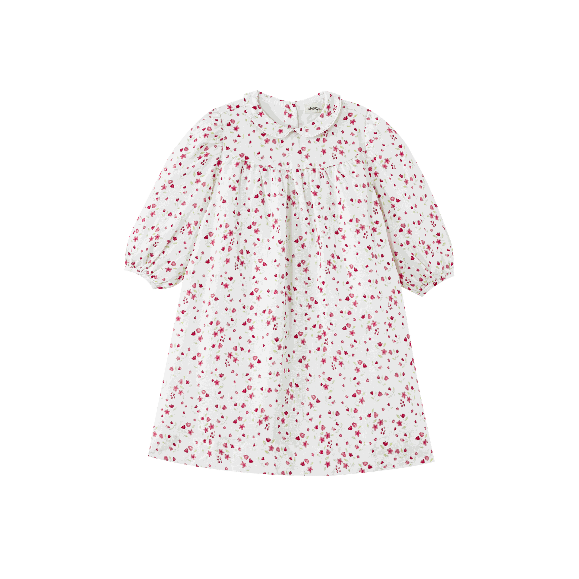Floral Collared High Yoke Dress