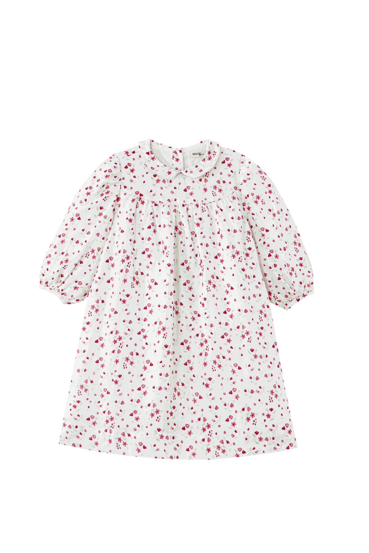 Floral Collared High Yoke Dress