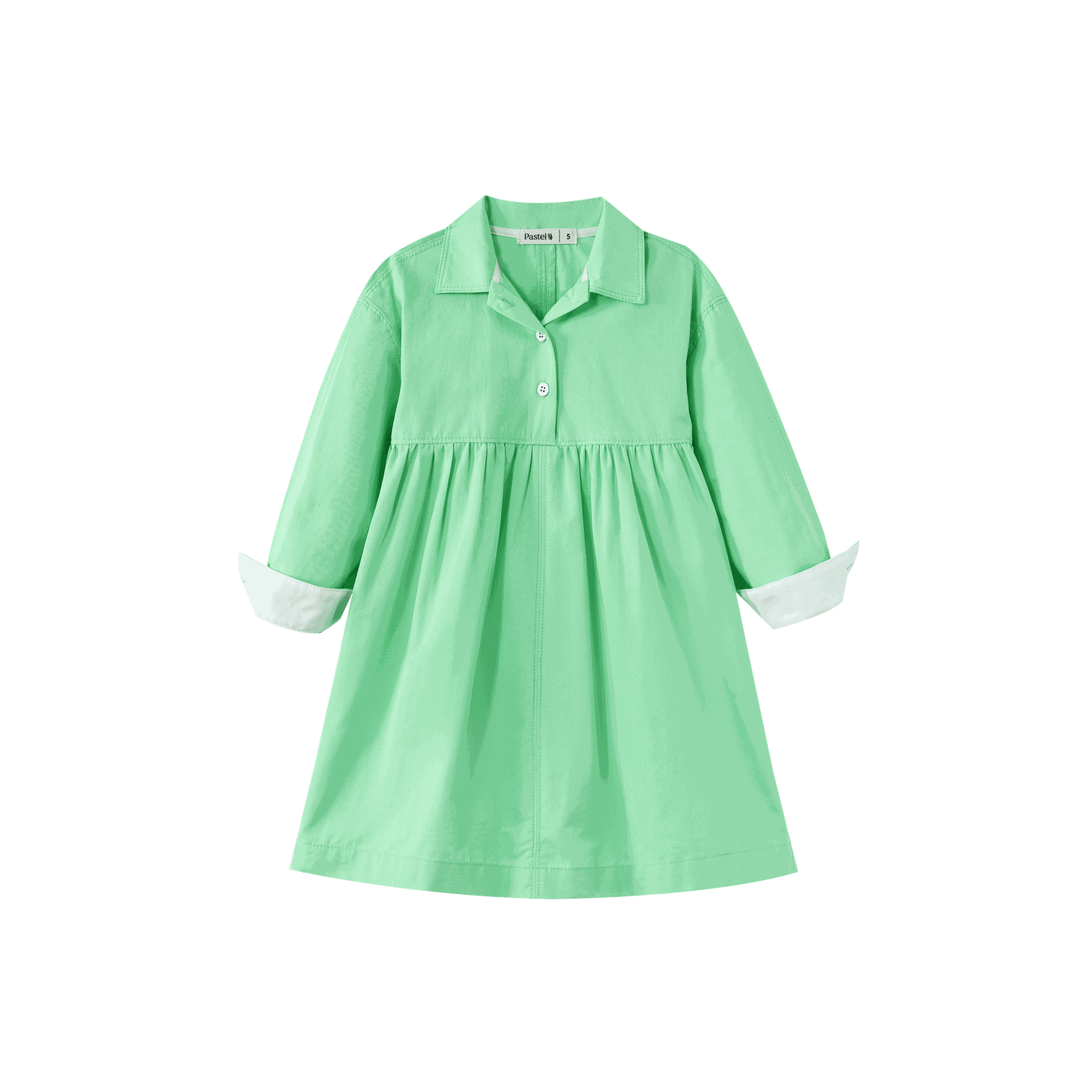 Waisted Shirtdress
