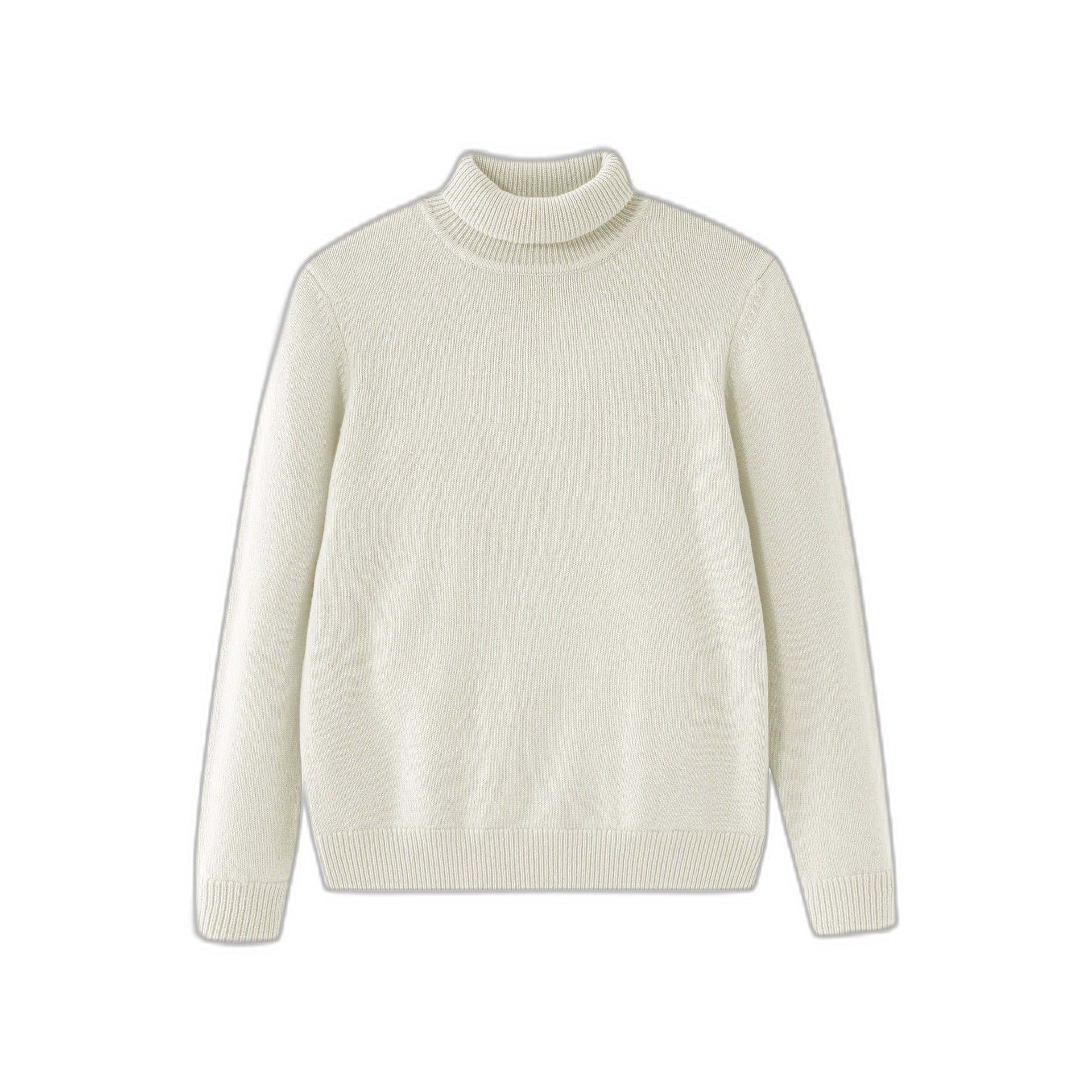 Turtleneck Sweater
