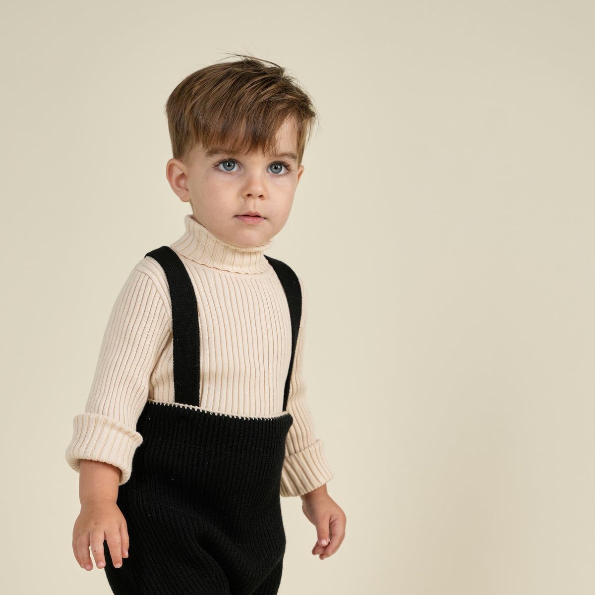 Basic Ribbed Knit Turtleneck Sweater