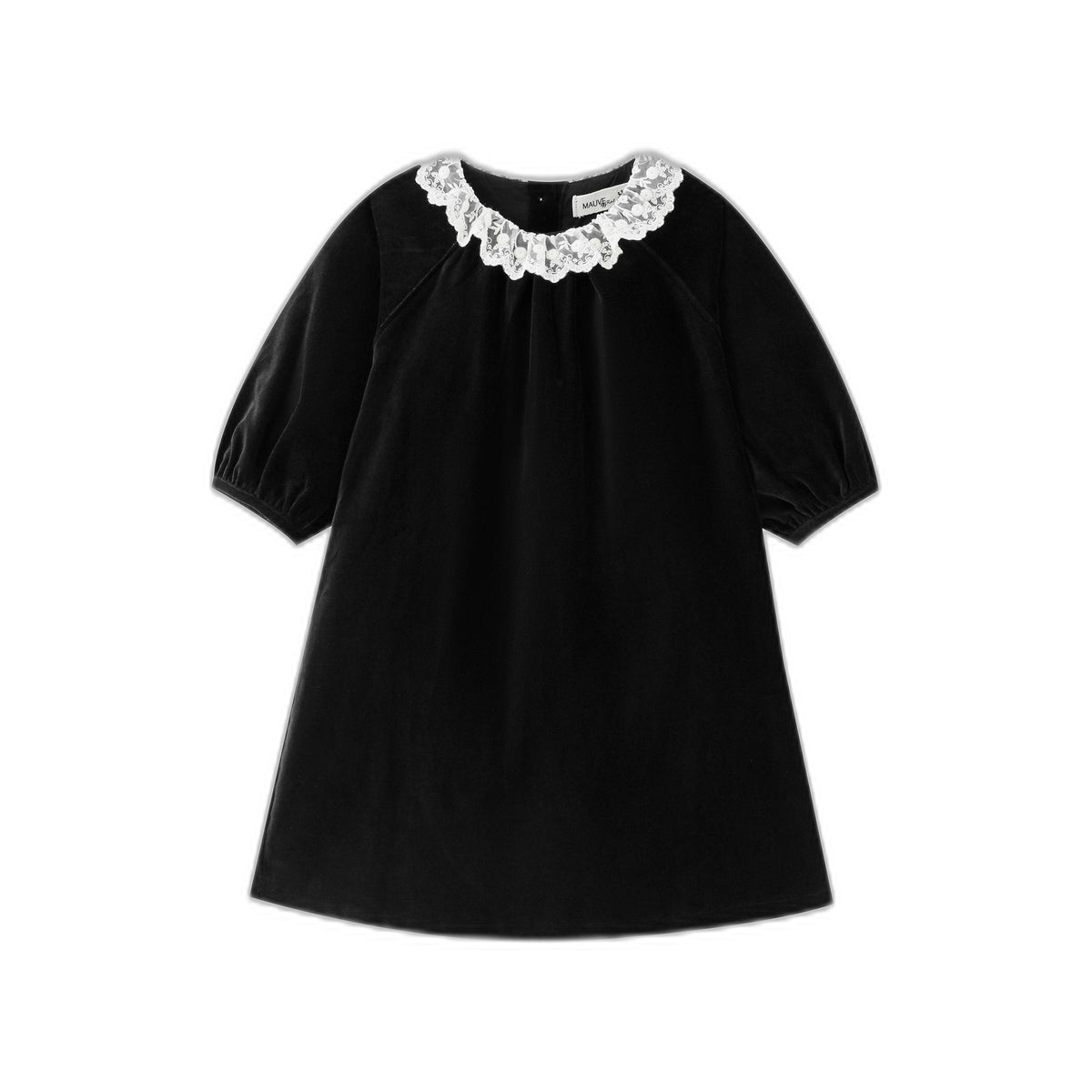Lace Collar Velvet Dress