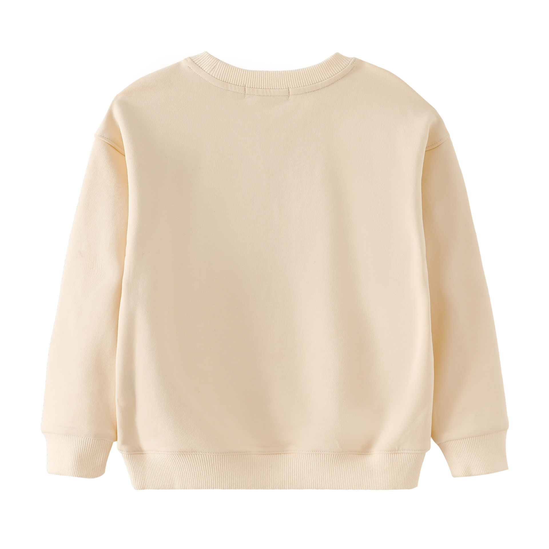 Sail Boat Icon Sweatshirt