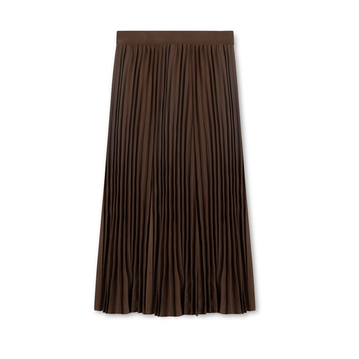 Elastic Accordion Pleated Skirt