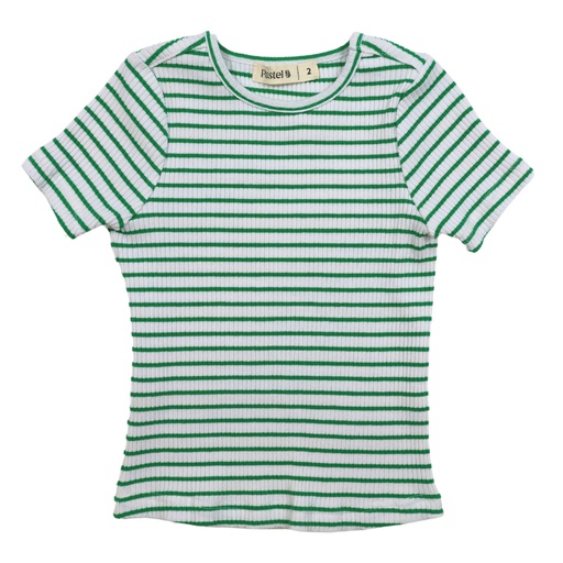 [S24-WNTB313-GR] STRIPED RIBBED SHORT SLEEVE TSHIRT