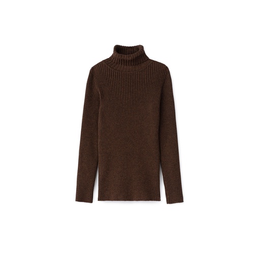 Basic Ribbed Knit Turtleneck Sweater