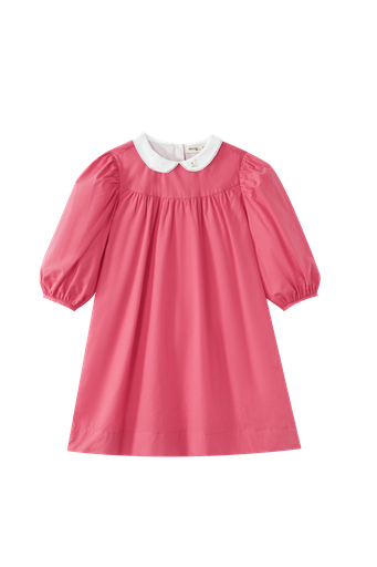 Embroidered Collar High Yoke Dress