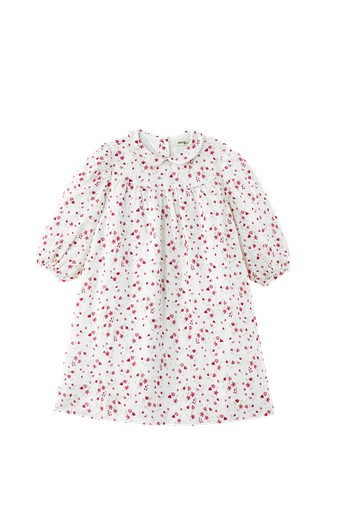 Floral Collared High Yoke Dress